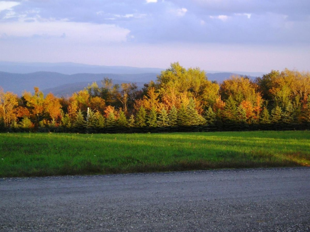 Cooper Hill Inn Image 6