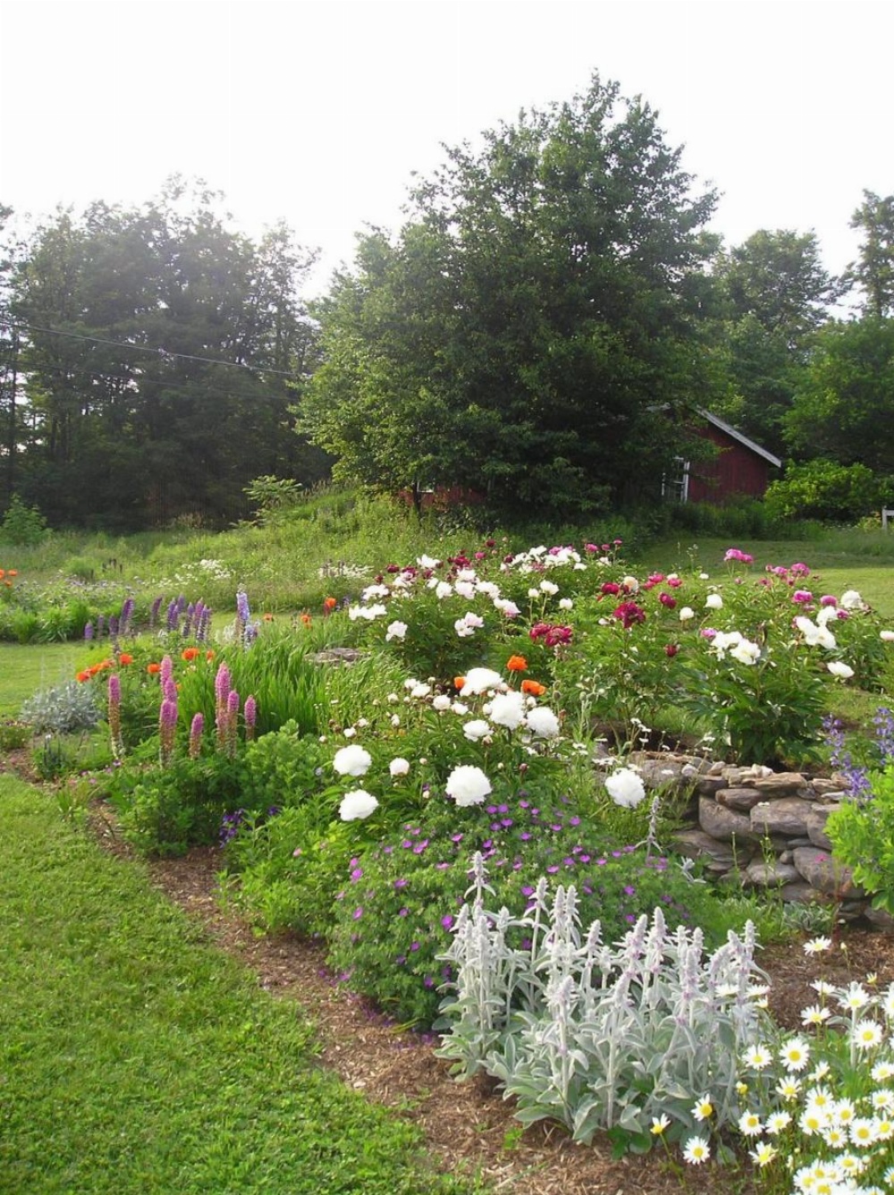Cooper Hill Inn Image 7